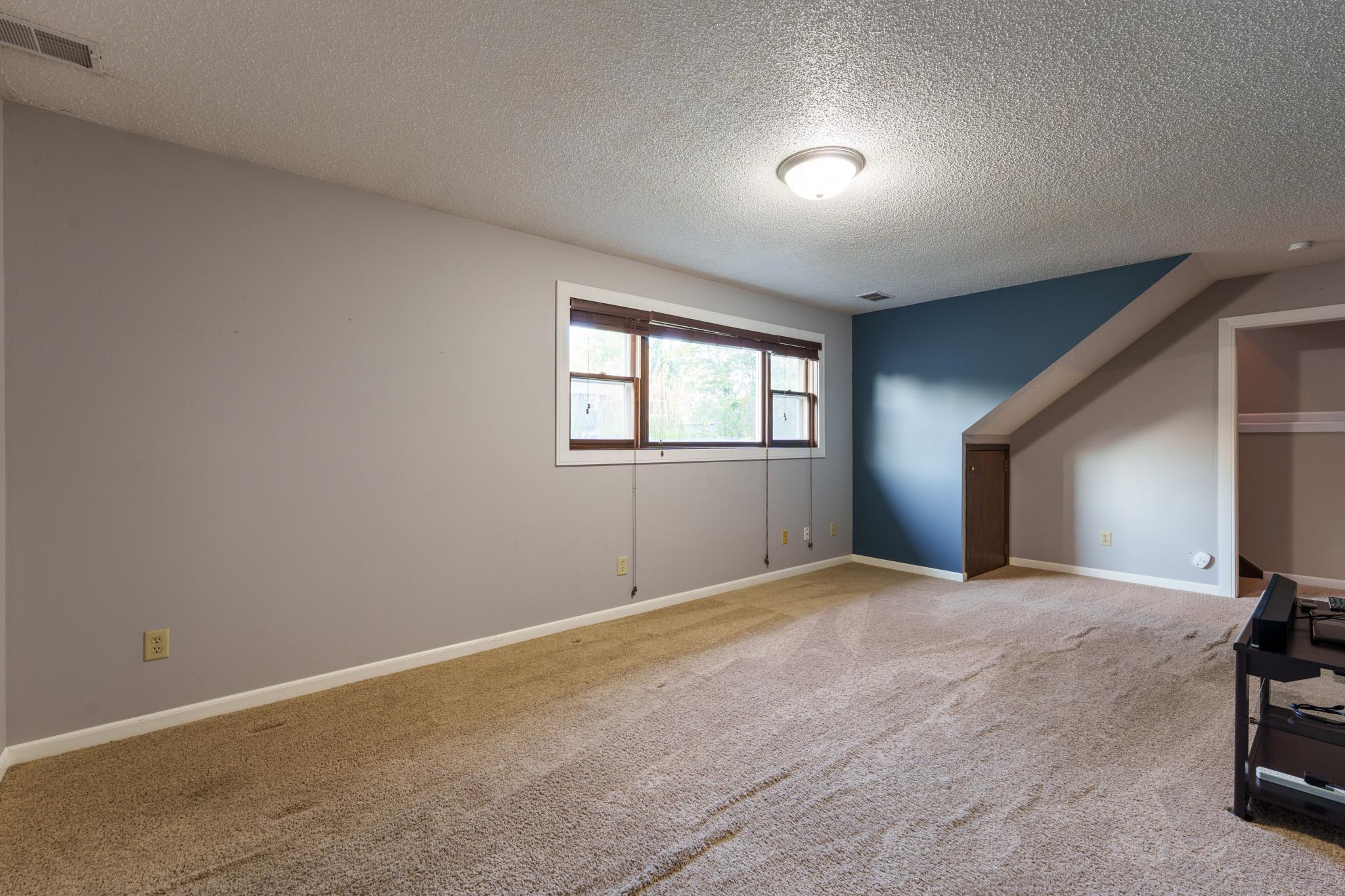 Family Room - 1233 View Ct Hastings-39.jpg