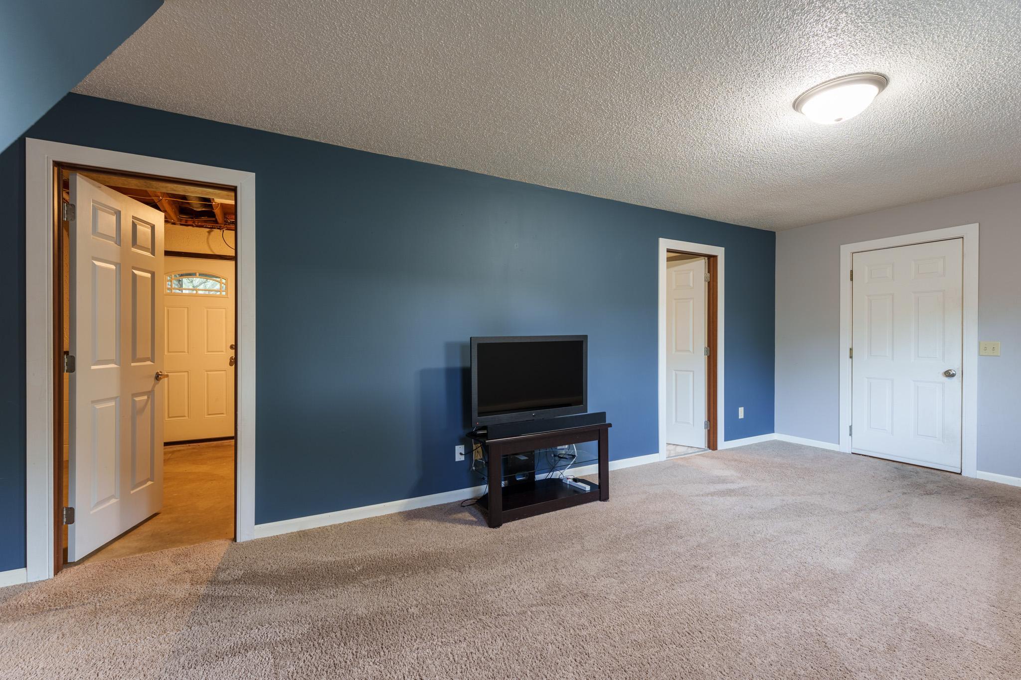 Family Room - 1233 View Ct Hastings-40.jpg