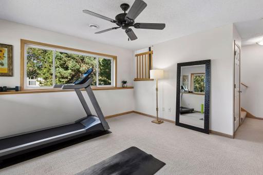 Open sightlines connect the lower family room to the entry foyer, while a separate staircase leads to an additional bonus storage room on its own level.