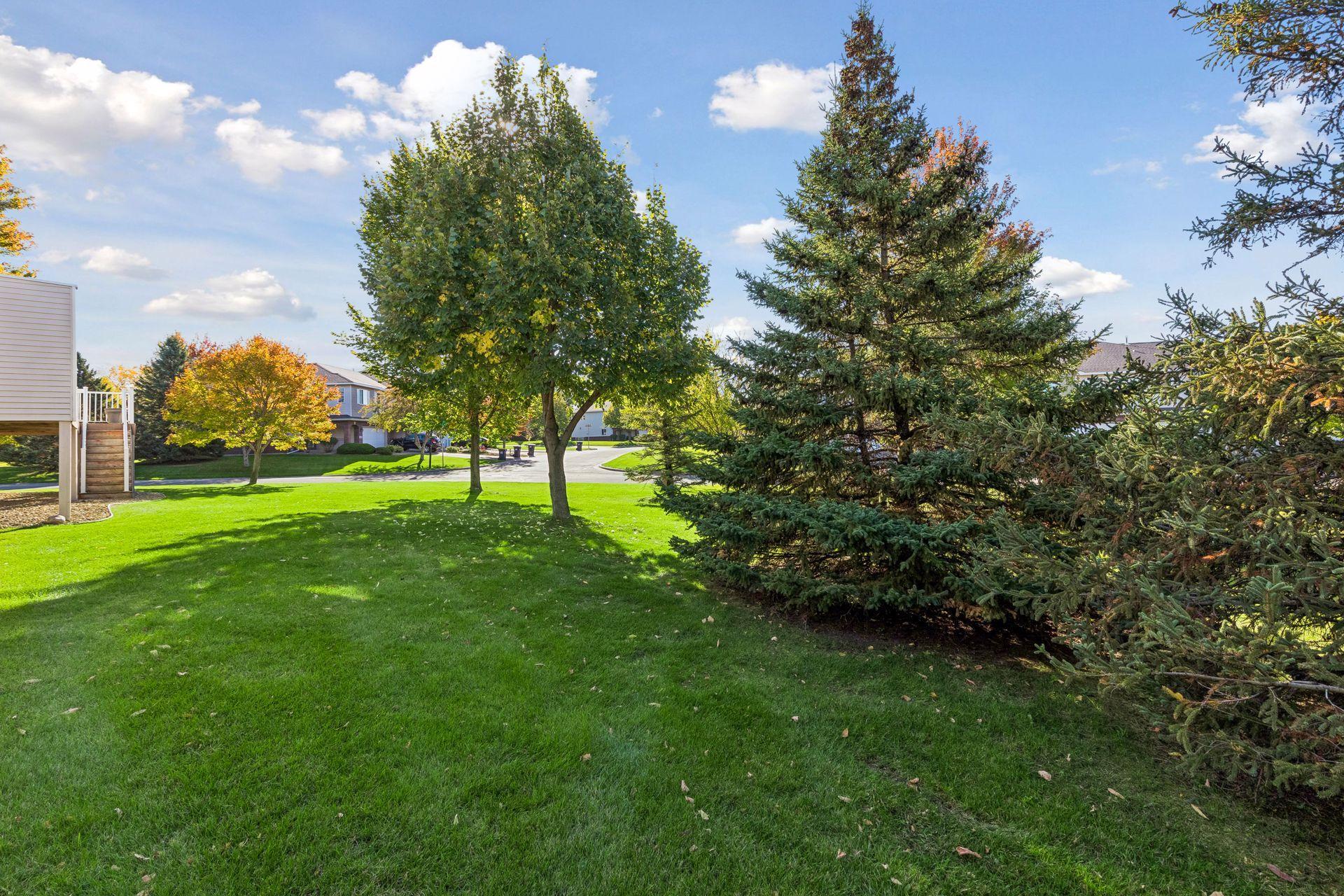Lovely back yard you don't need to mow