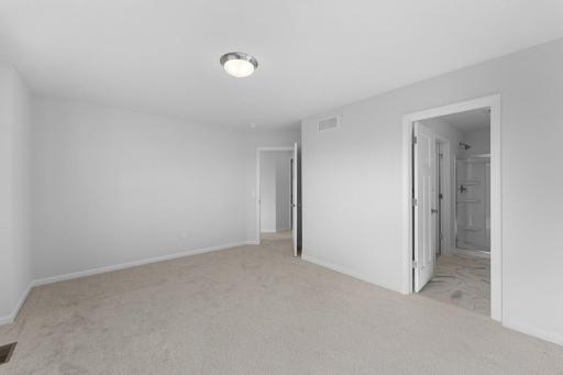 10356 Birchwood Circle, Chaska, MN 55318