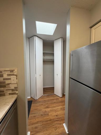 Main Closet with Skylight
