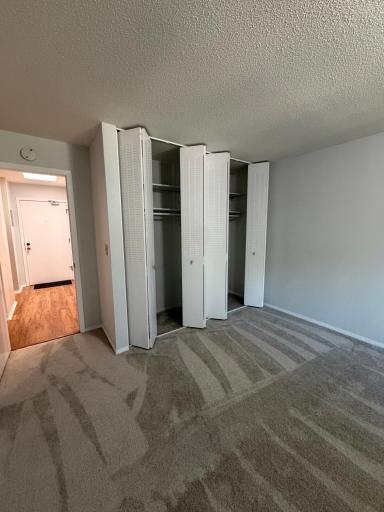 Bedroom Closets and Foyer