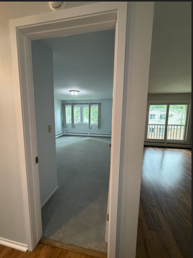 Bedroom and Living Room