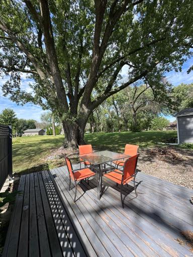 Back Patio