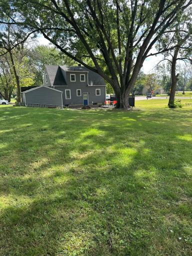 Back yard