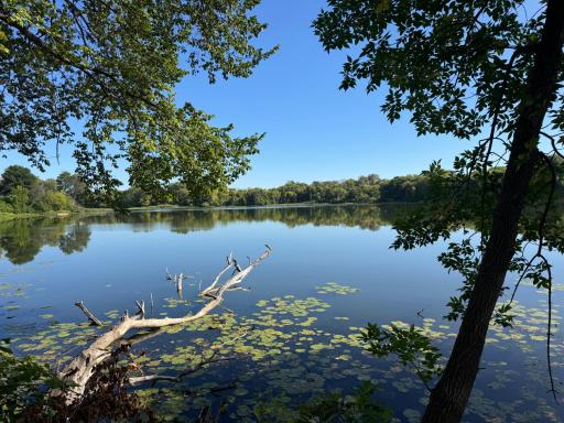 259 ft of Shoreline on Pioneer Lake