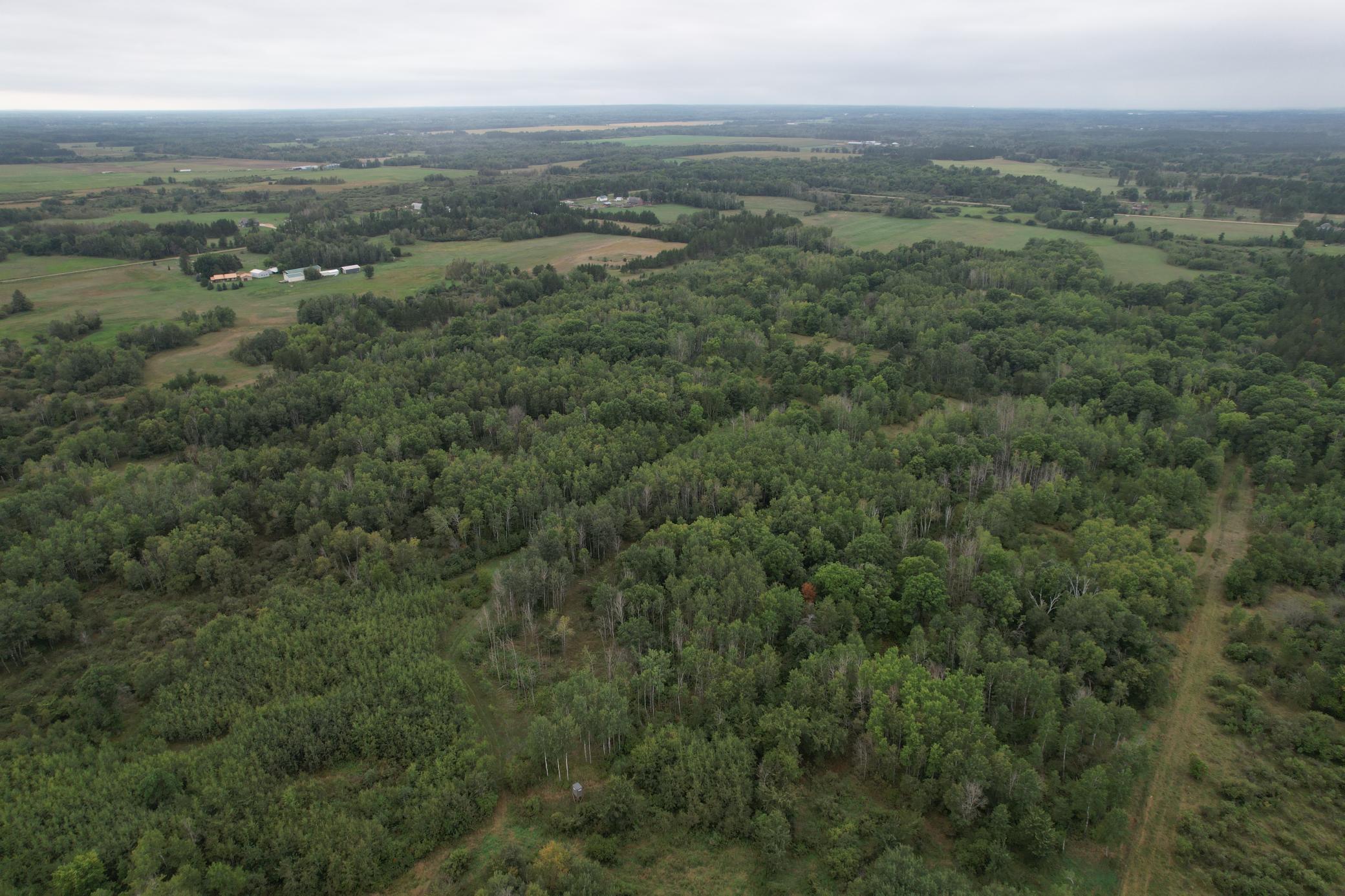 dji_fly_20260908_115638_90_1788886754150_photo.jpg