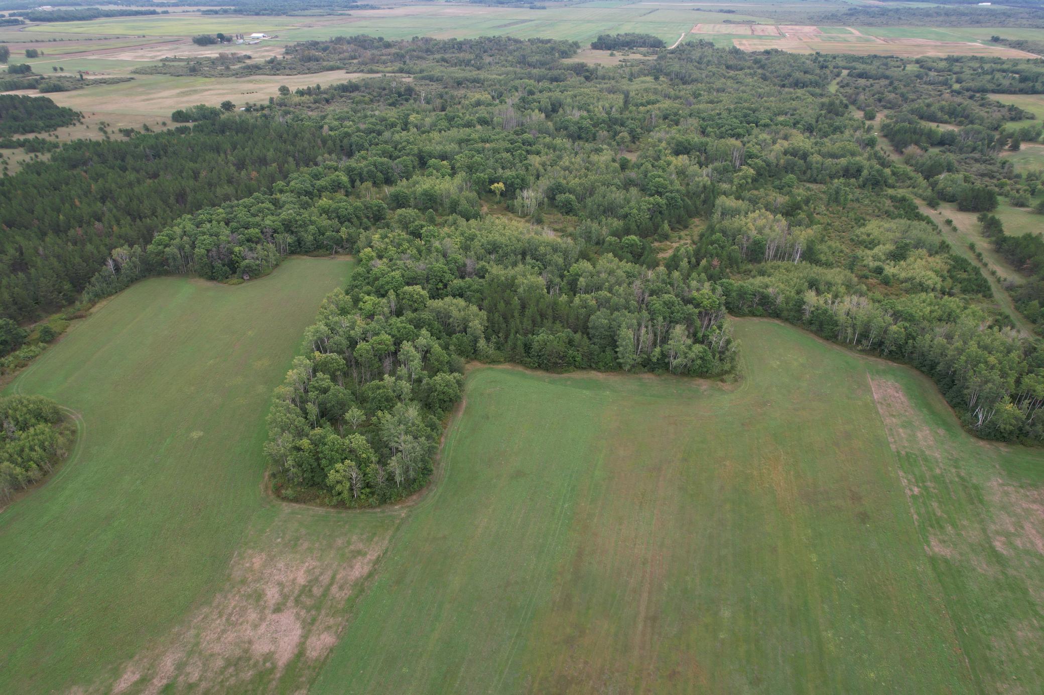 dji_fly_20260908_115336_79_1788886775438_photo.jpg