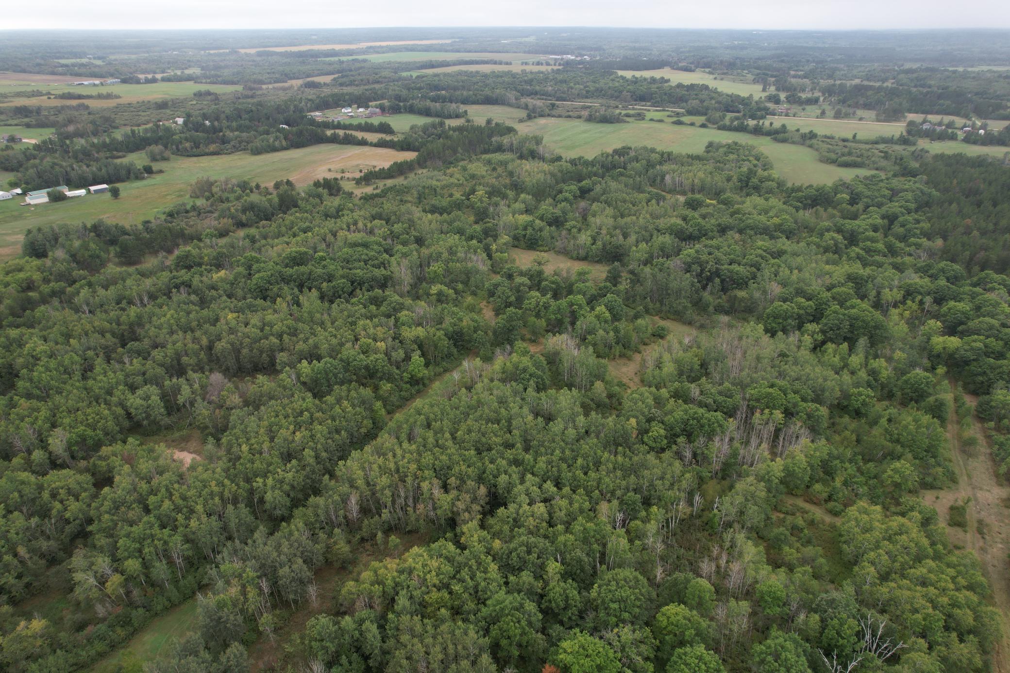 dji_fly_20260908_115648_91_1788886752624_photo.jpg