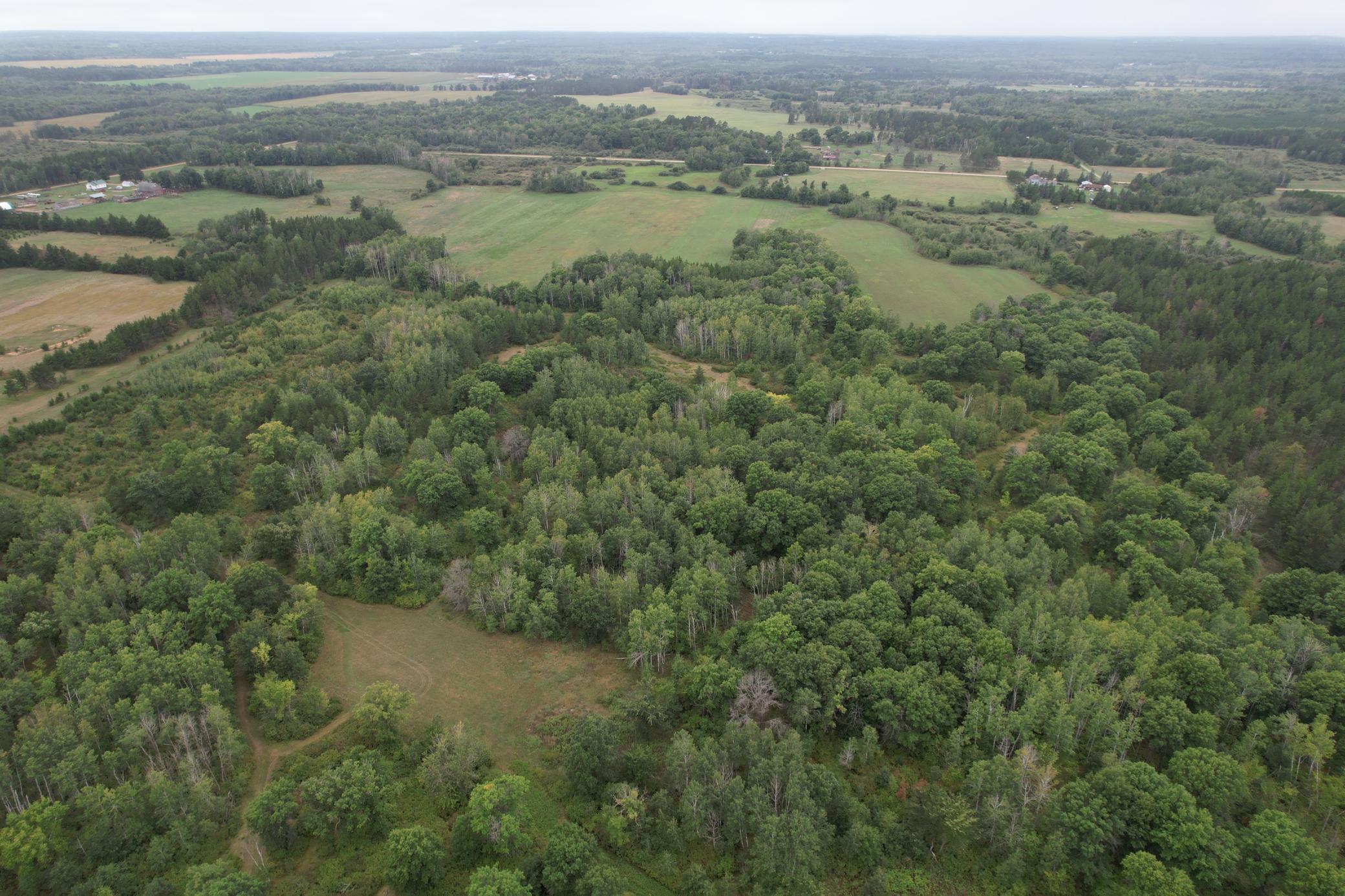 dji_fly_20260908_115704_93_1788886749239_photo.jpg