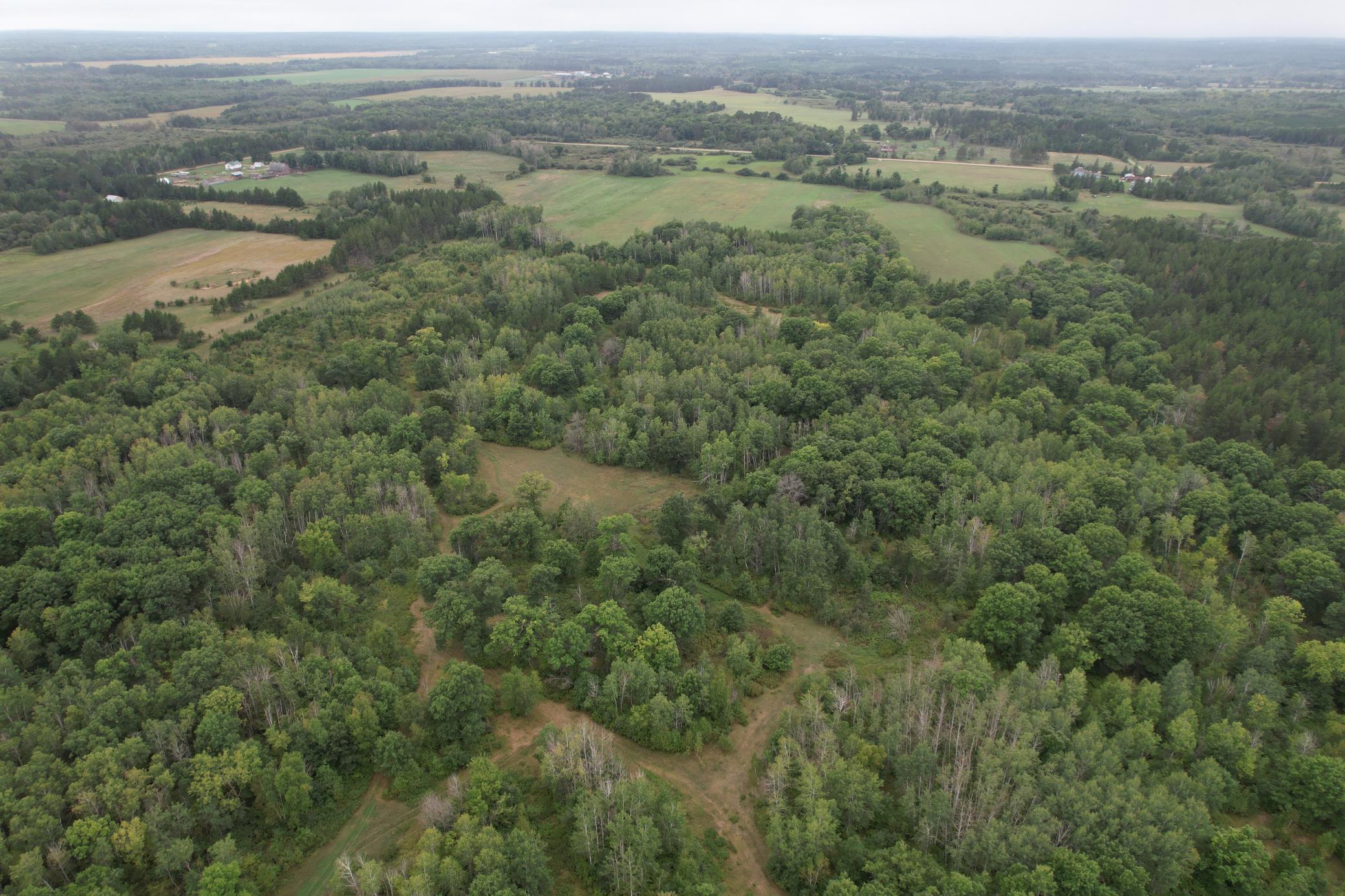 dji_fly_20260908_115656_92_1788886750941_photo.jpg