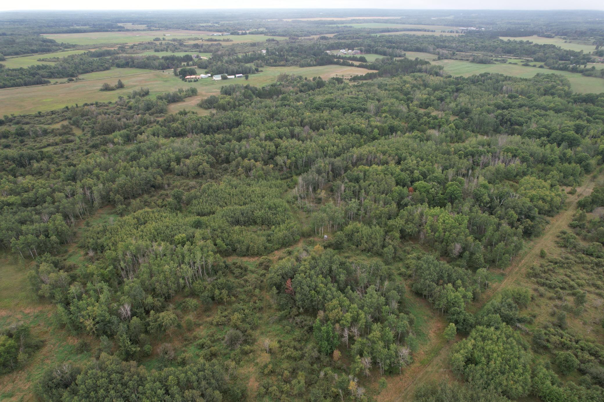 dji_fly_20260908_115630_89_1788886755878_photo.jpg