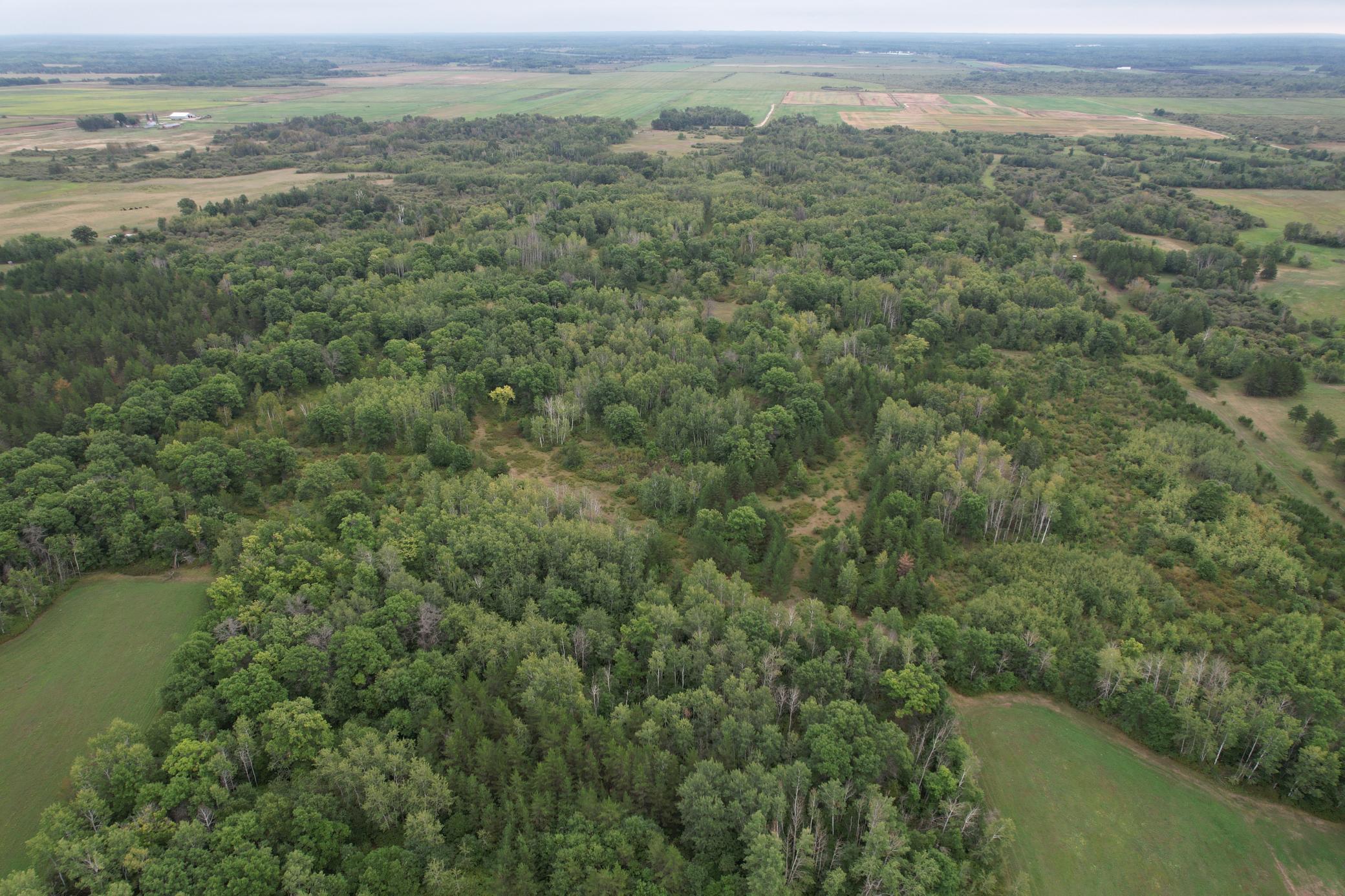 dji_fly_20260908_115344_80_1788886773816_photo.jpg