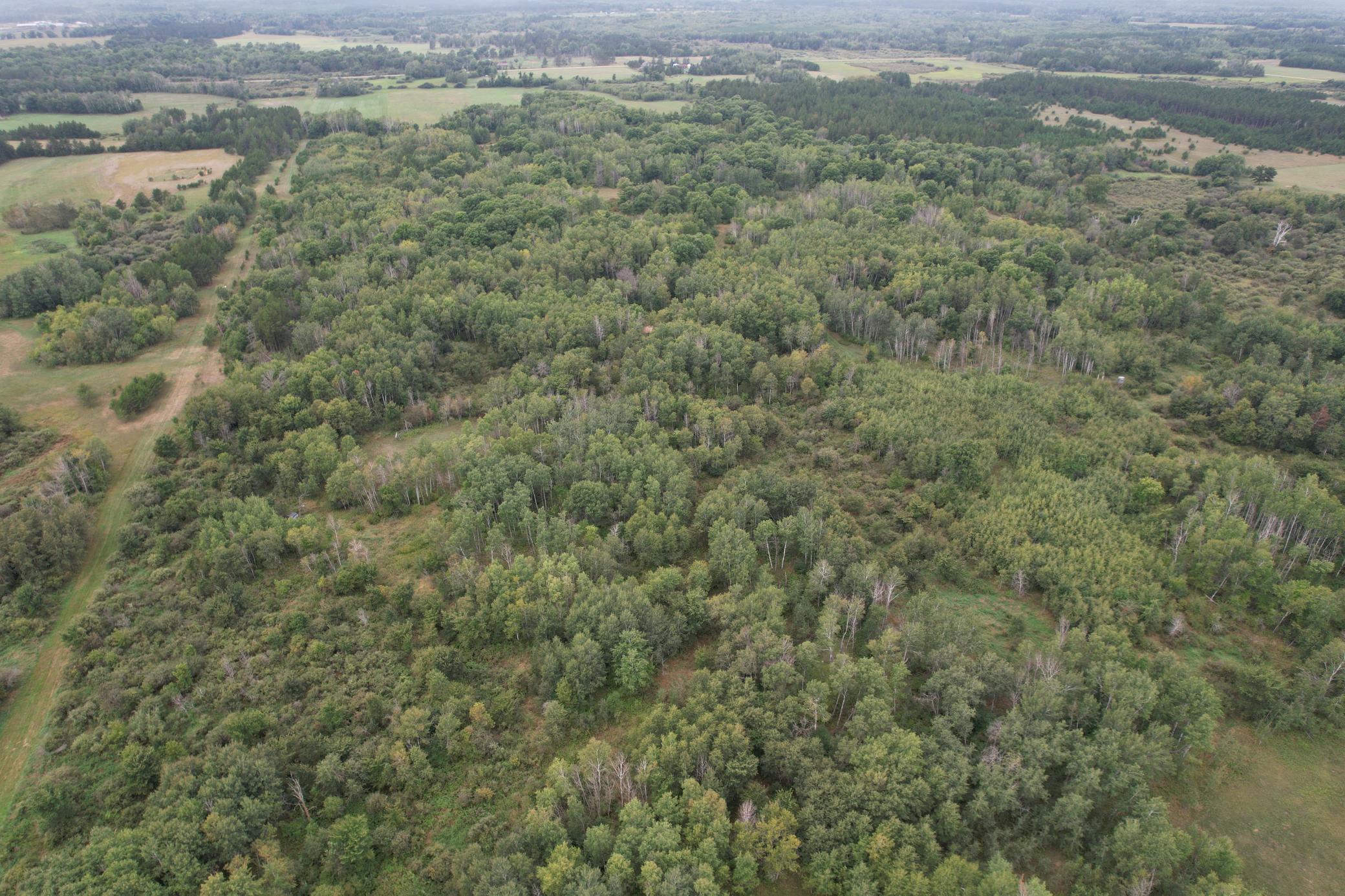 dji_fly_20260908_115542_86_1788886761608_photo.jpg