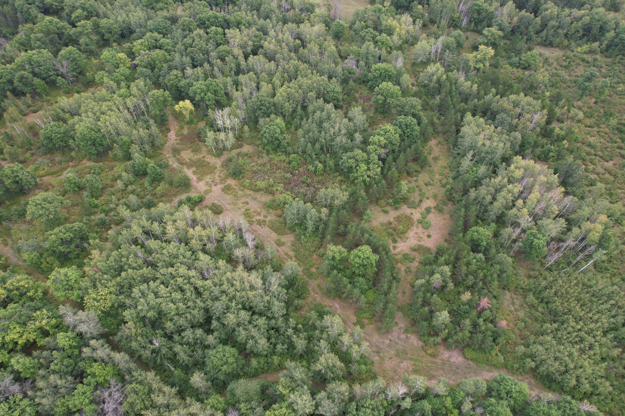 dji_fly_20260908_115352_81_1788886772091_photo.jpg