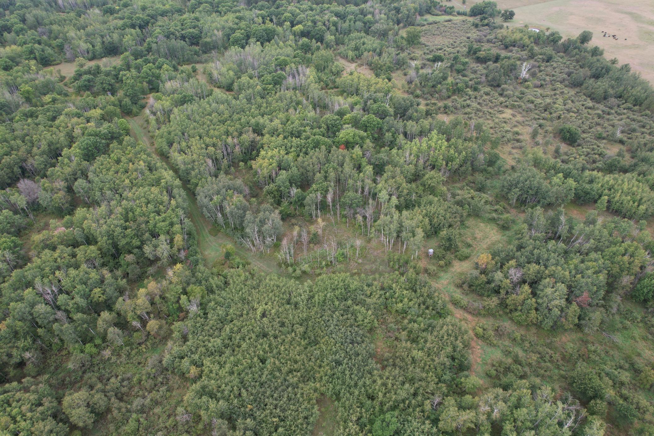dji_fly_20260908_115600_88_1788886757865_photo.jpg