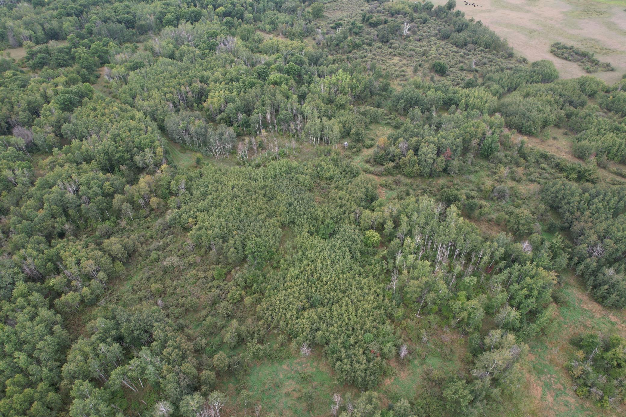 dji_fly_20260908_115556_87_1788886759811_photo.jpg