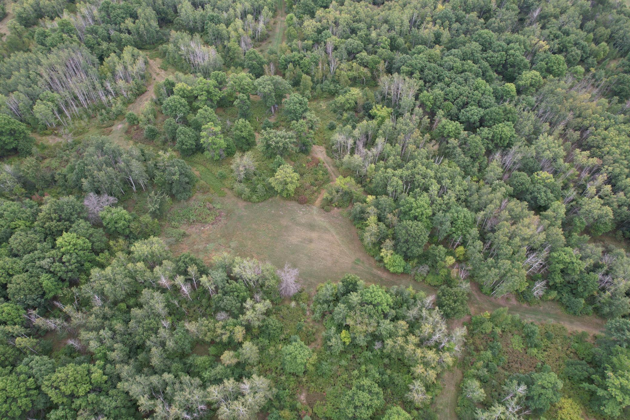 dji_fly_20260908_115404_82_1788886770099_photo.jpg