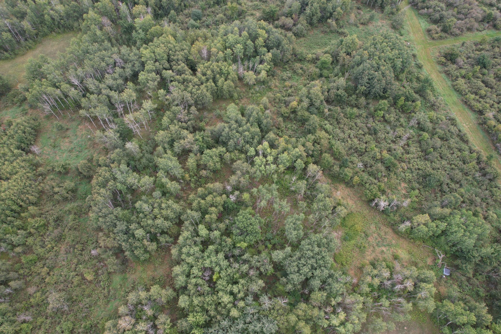dji_fly_20260908_115514_85_1788886763759_photo.jpg