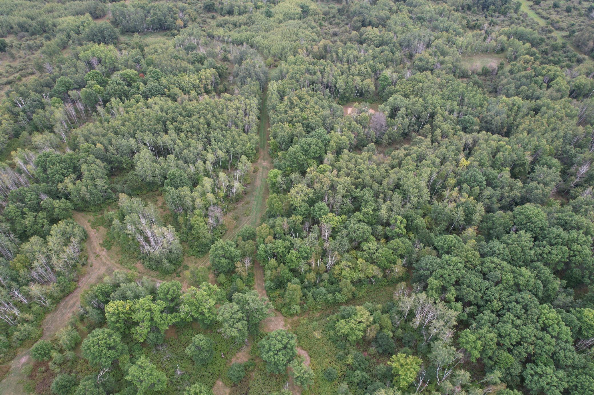 dji_fly_20260908_115444_83_1788886768063_photo.jpg