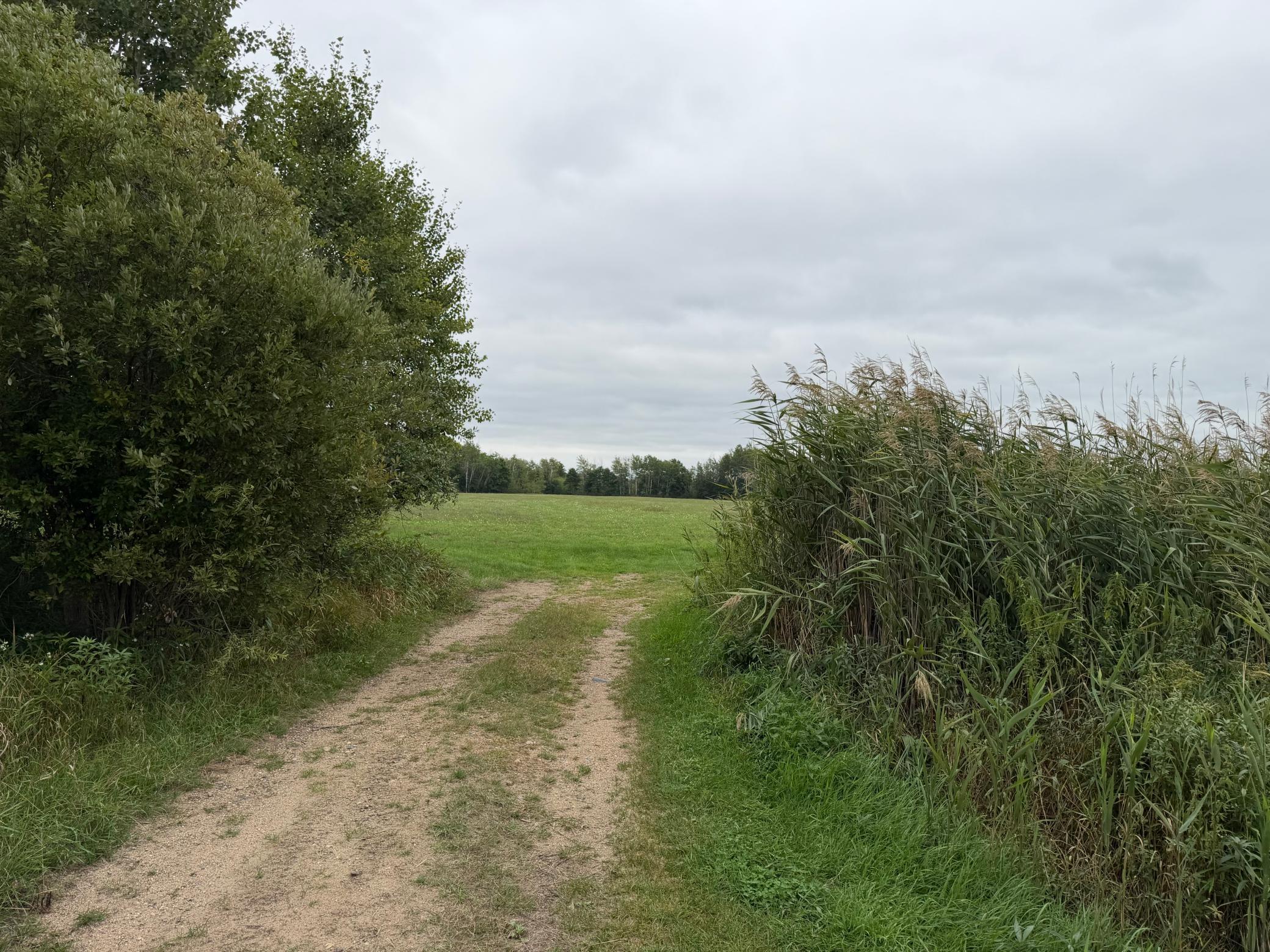 IMG_5770.jpeg
