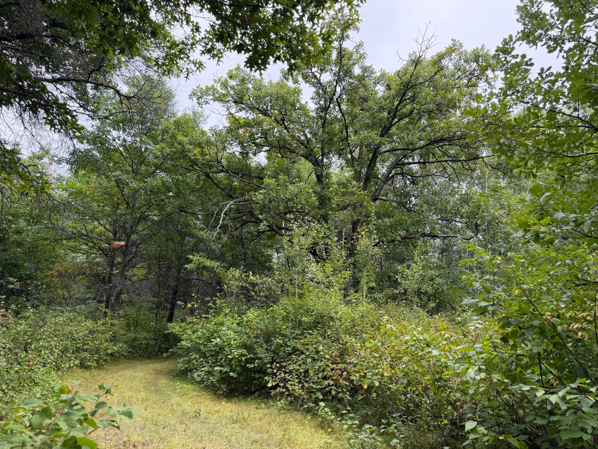 IMG_5786.jpeg