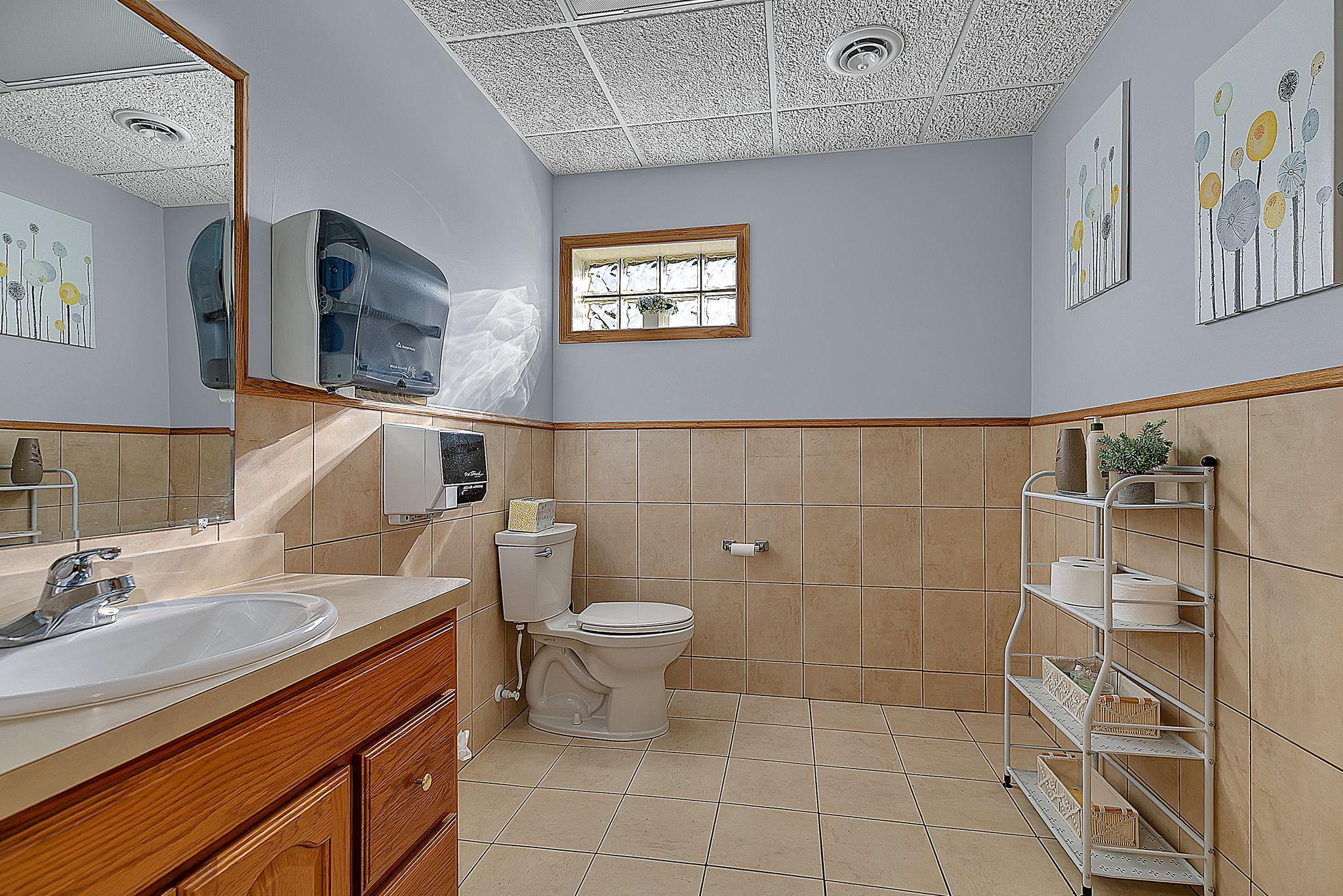Lower level bathroom