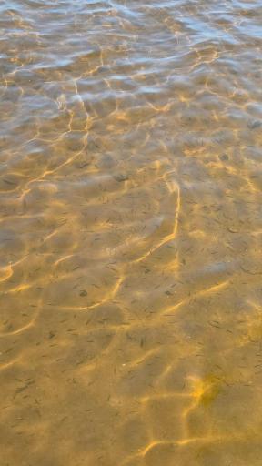 Enjoy crystal-clear water on Lake Mille Lacs at Isle Harbor.