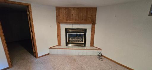 Bsmt.Fireplace.jpg