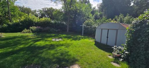 Backyard.jpg