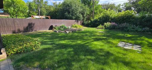 Backyard.b.jpg