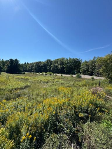 27806 435th Avenue, Aitkin, MN 56431
