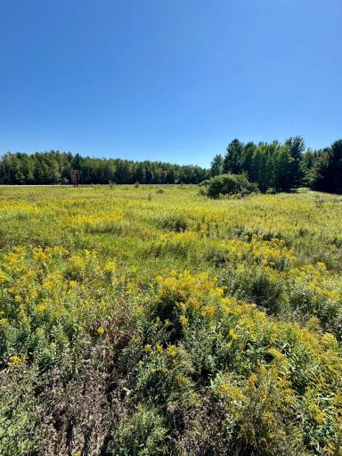 27806 435th Avenue, Aitkin, MN 56431