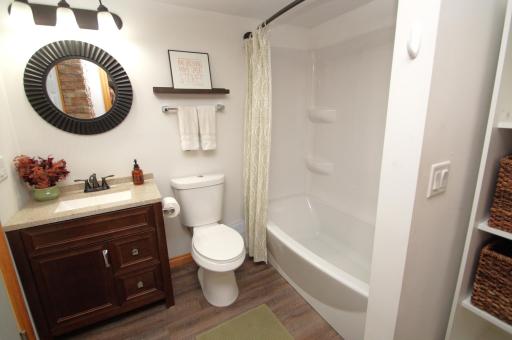 Lower-Level Bathroom
