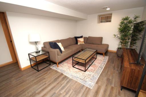 Lower-Level Family Room