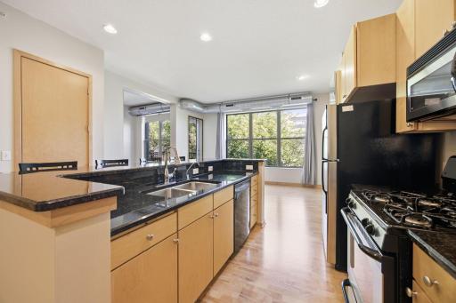 3640 Wooddale Avenue S, 305, Saint Louis Park, MN 55416