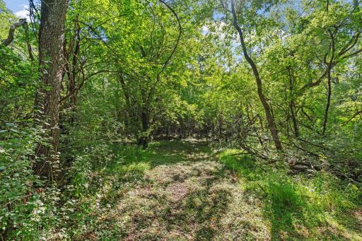13306 Ellice Court, Apple Valley, MN 55124
