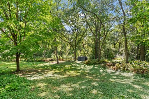 Green spaces to run and play in your yard!