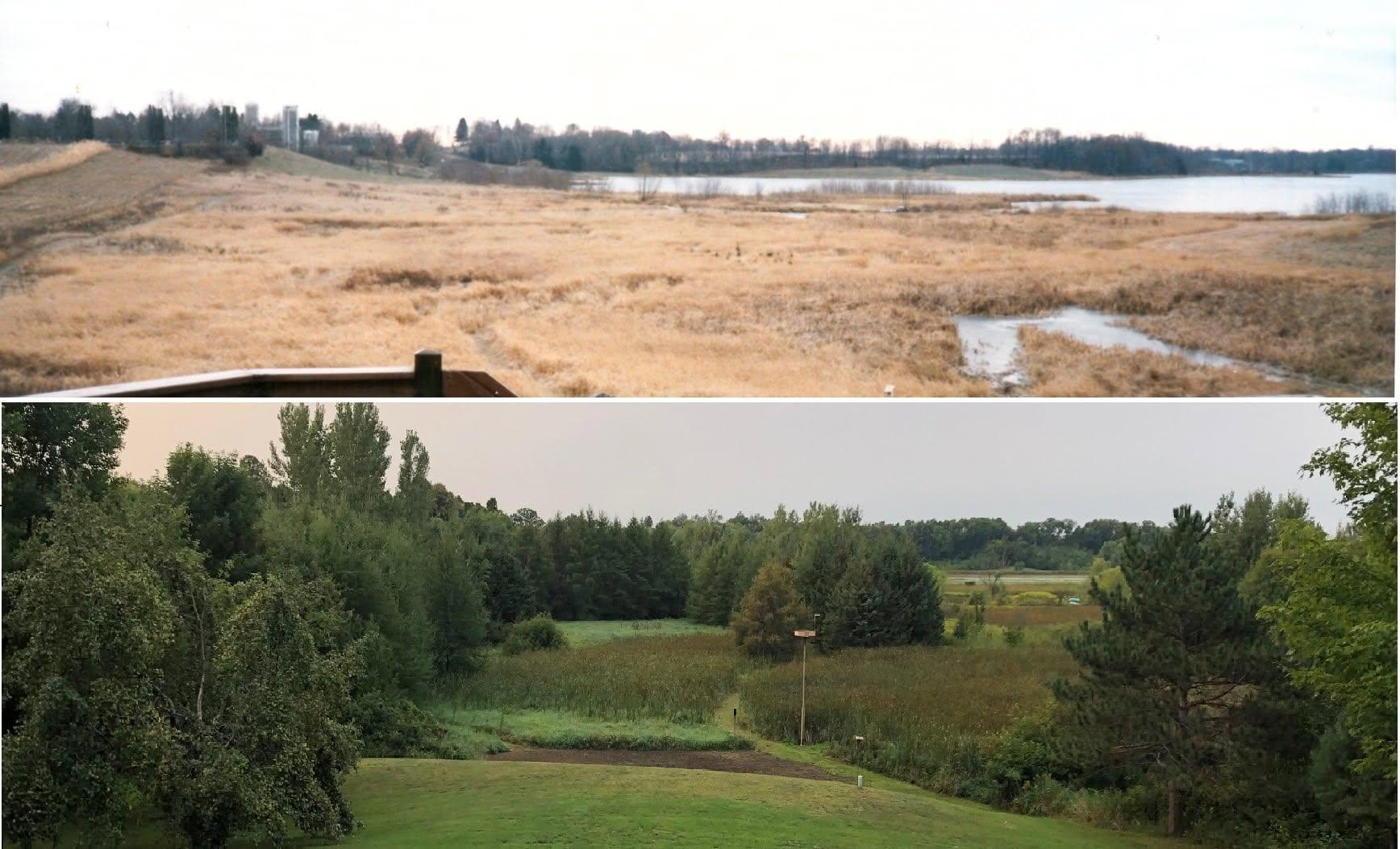 Lake views through the seasons; abundant wildlife to observe!