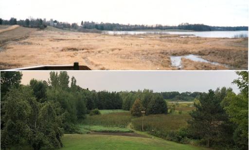 Lake views through the seasons; abundant wildlife to observe!