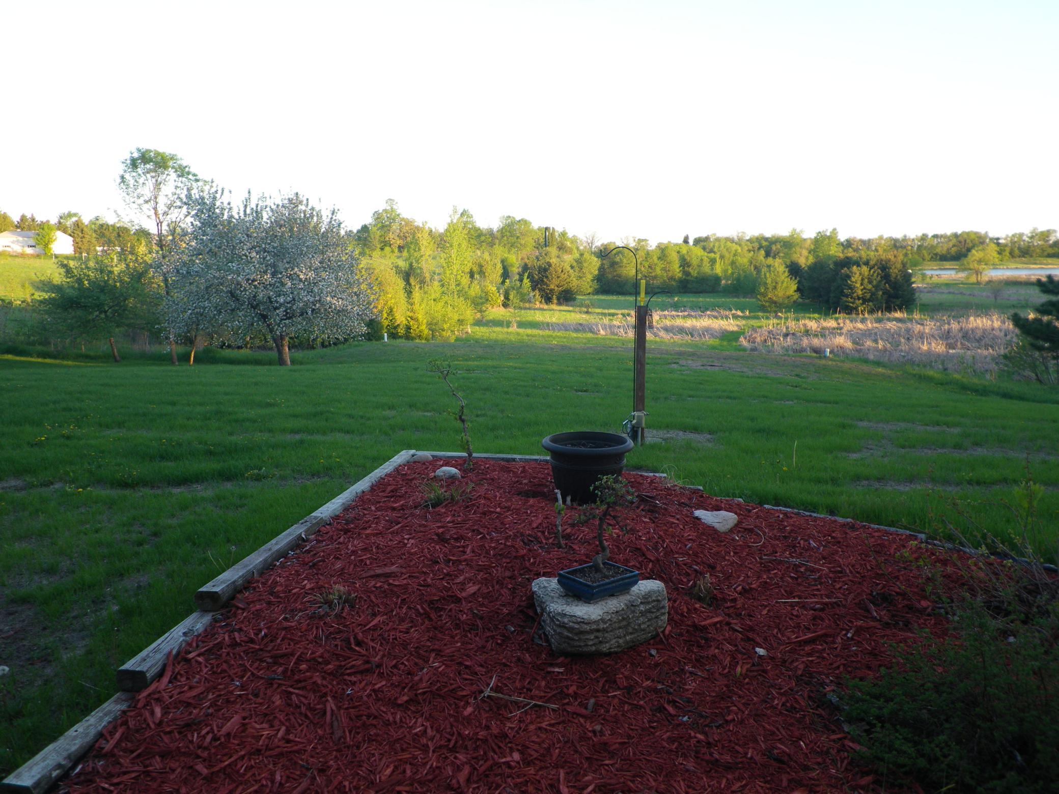 View south from the home in spring.