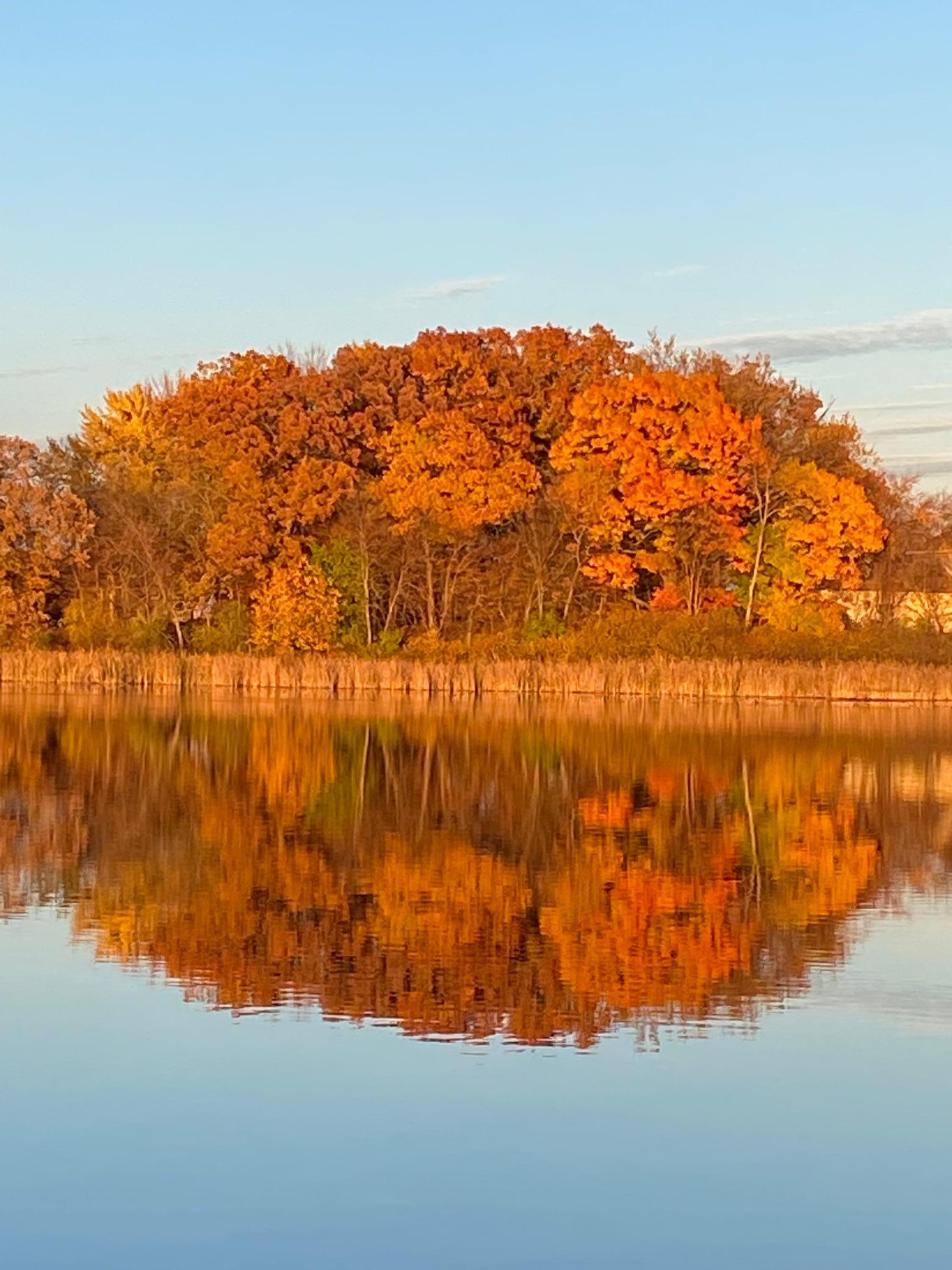 Gorgeous fall colors from the water