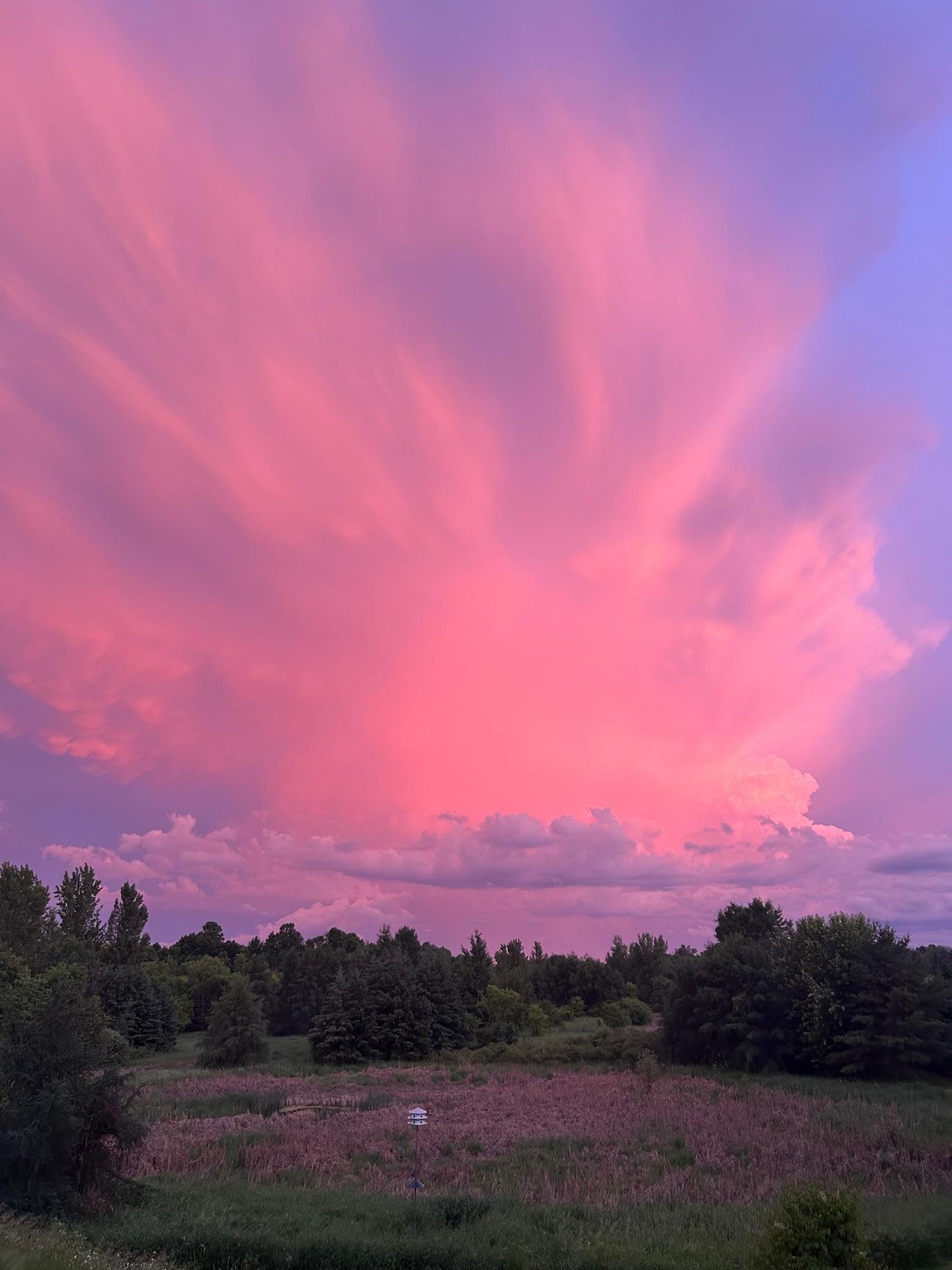 Full view of the sky looking south