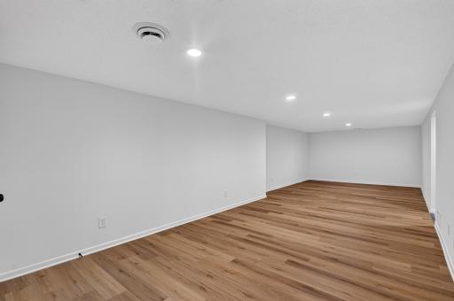 Family room lower level