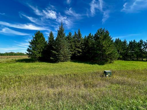 TBD 560th, New York Mills, MN 56567