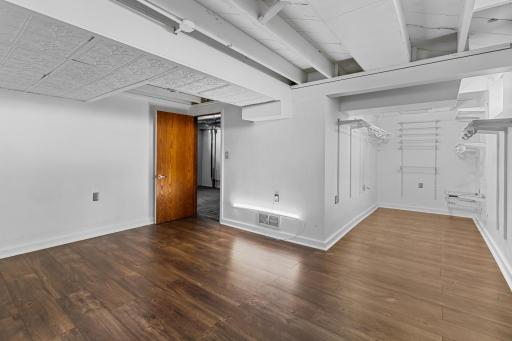 Lower level bedroom with extensive closet organizers
