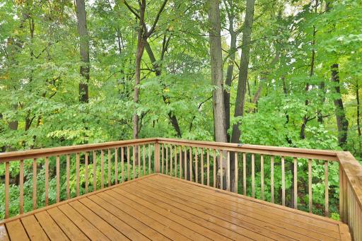 15641 27th Avenue N, Plymouth, MN 55447