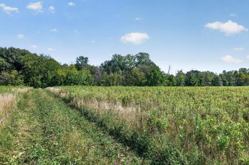 21050 336th Street, Taylors Falls, MN 55084
