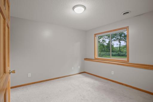 Lower level Bedroom